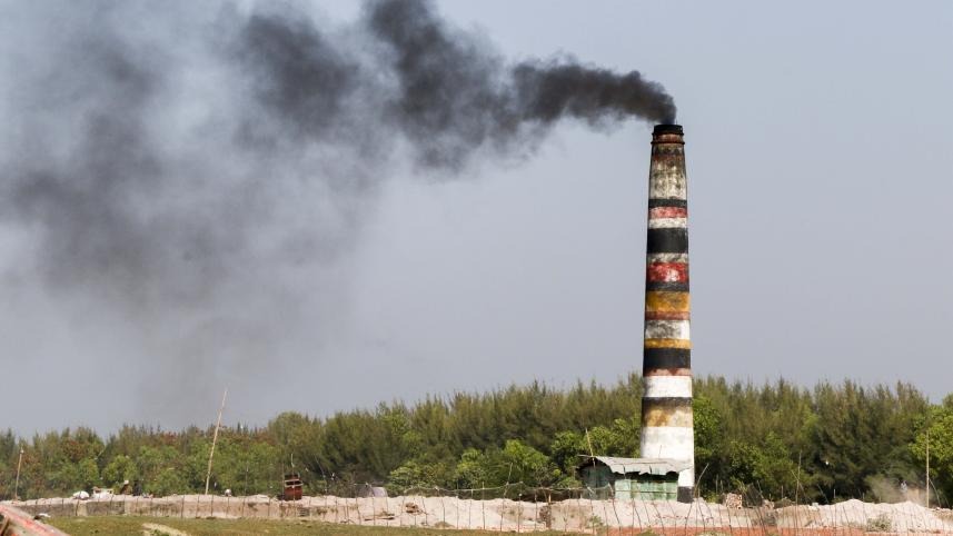 Environmental site assessment representative of SRCL's carbon credit advisory work.